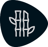 Symbol von zwei Bambusstangen mit Blättern auf dunklem Hintergrund.