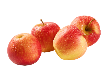 Bio Mini Äpfel aus Österreich