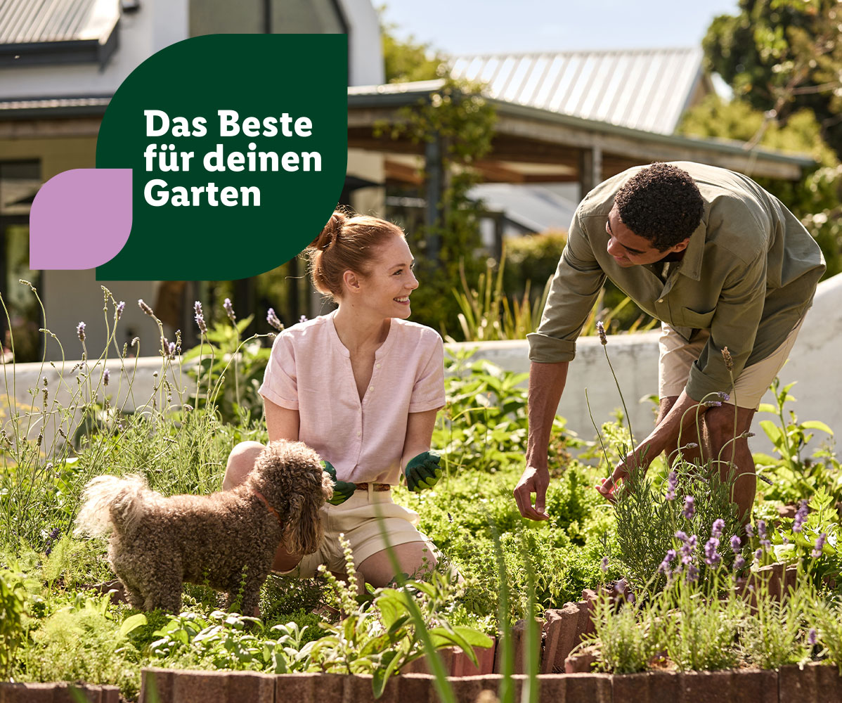 Frau und Mann mit Hund arbeiten im Garten. Textzusatz: Das Beste für deinen Garten