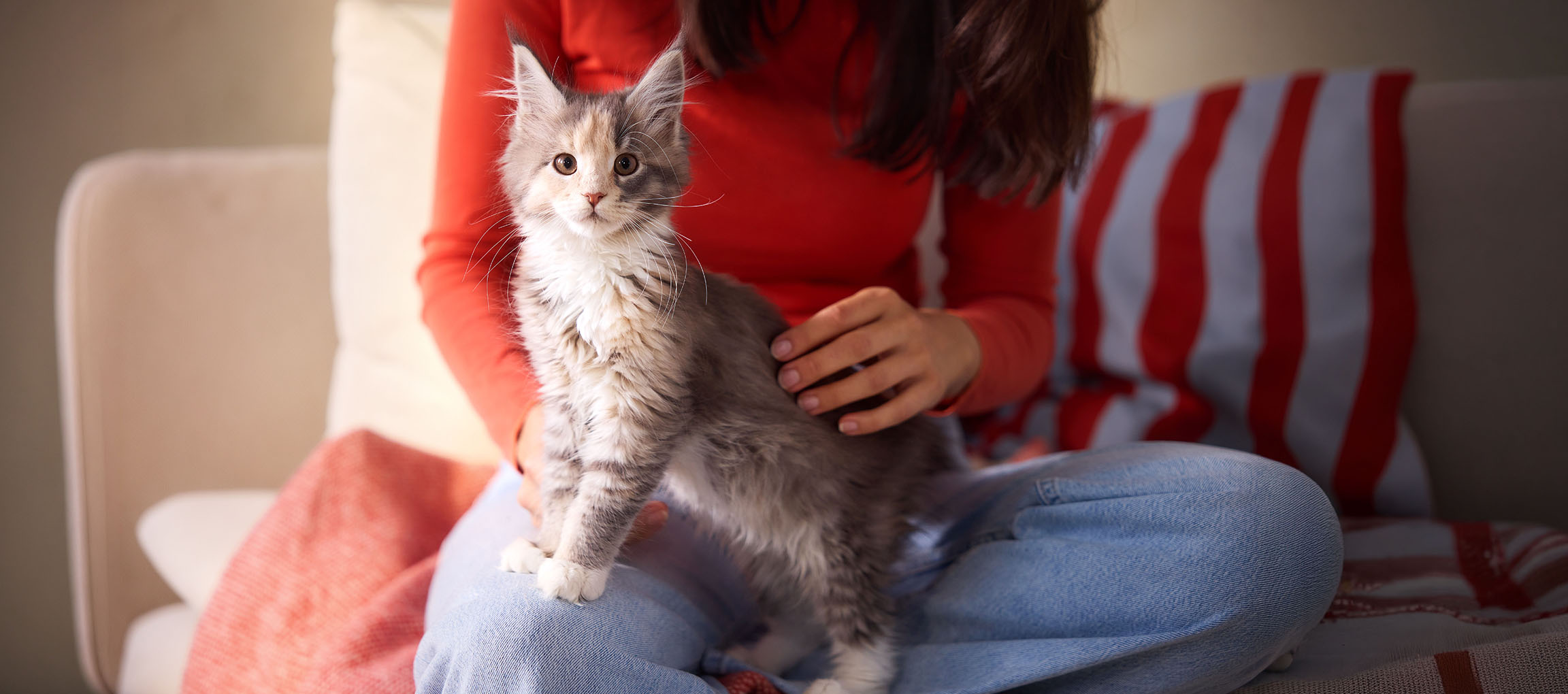 Frau in rotem Shirt streichelt ein Kätzchen, das auf ihrem Schoß auf einem Sofa sitzt.