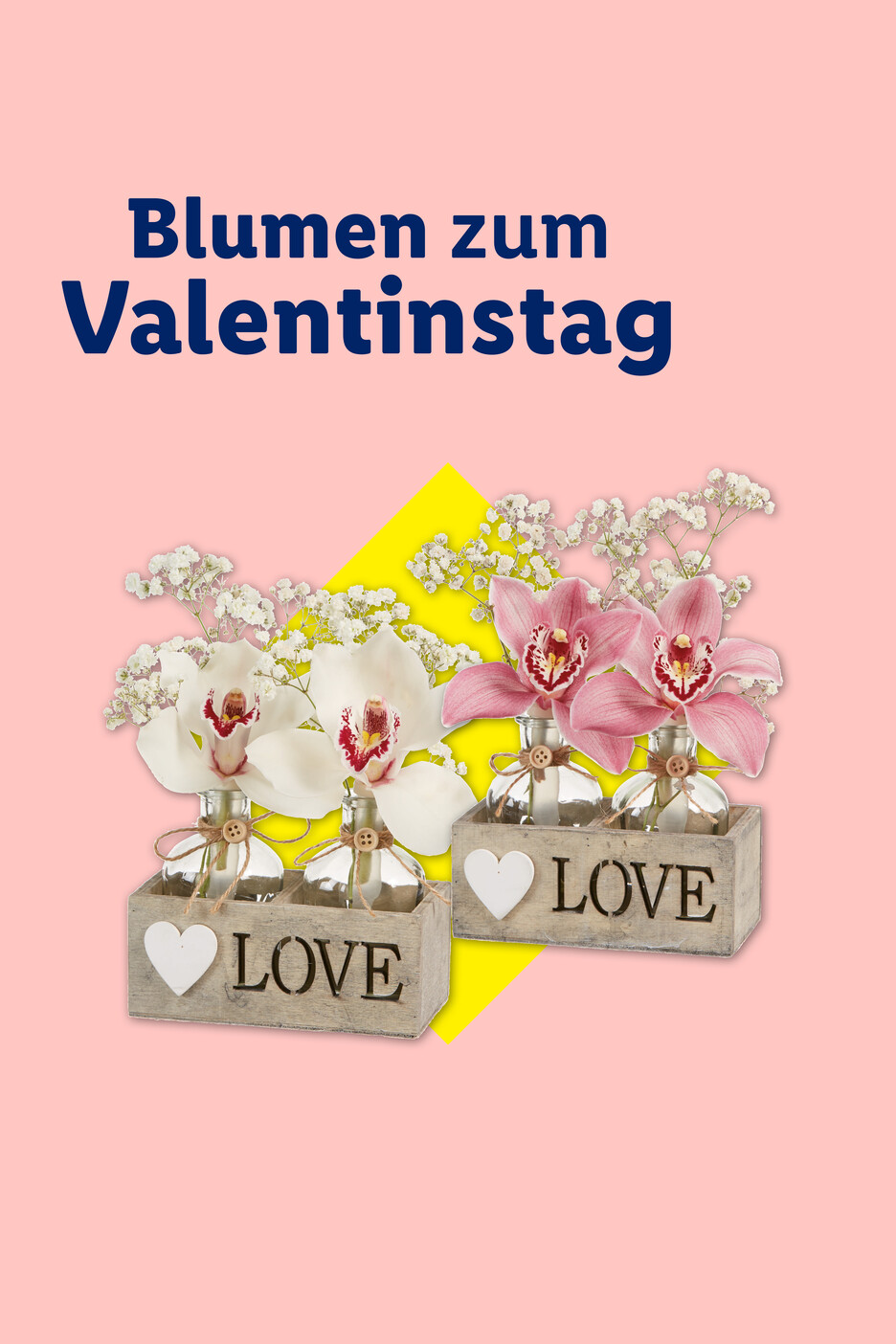 Orchideen in kleinen Vasen mit 'LOVE' Schriftzug in Holzkisten, umgeben von Schleierkraut, auf rosa Hintergrund mit gelbem Akzent. Text: Blumen zum Valentinstag.