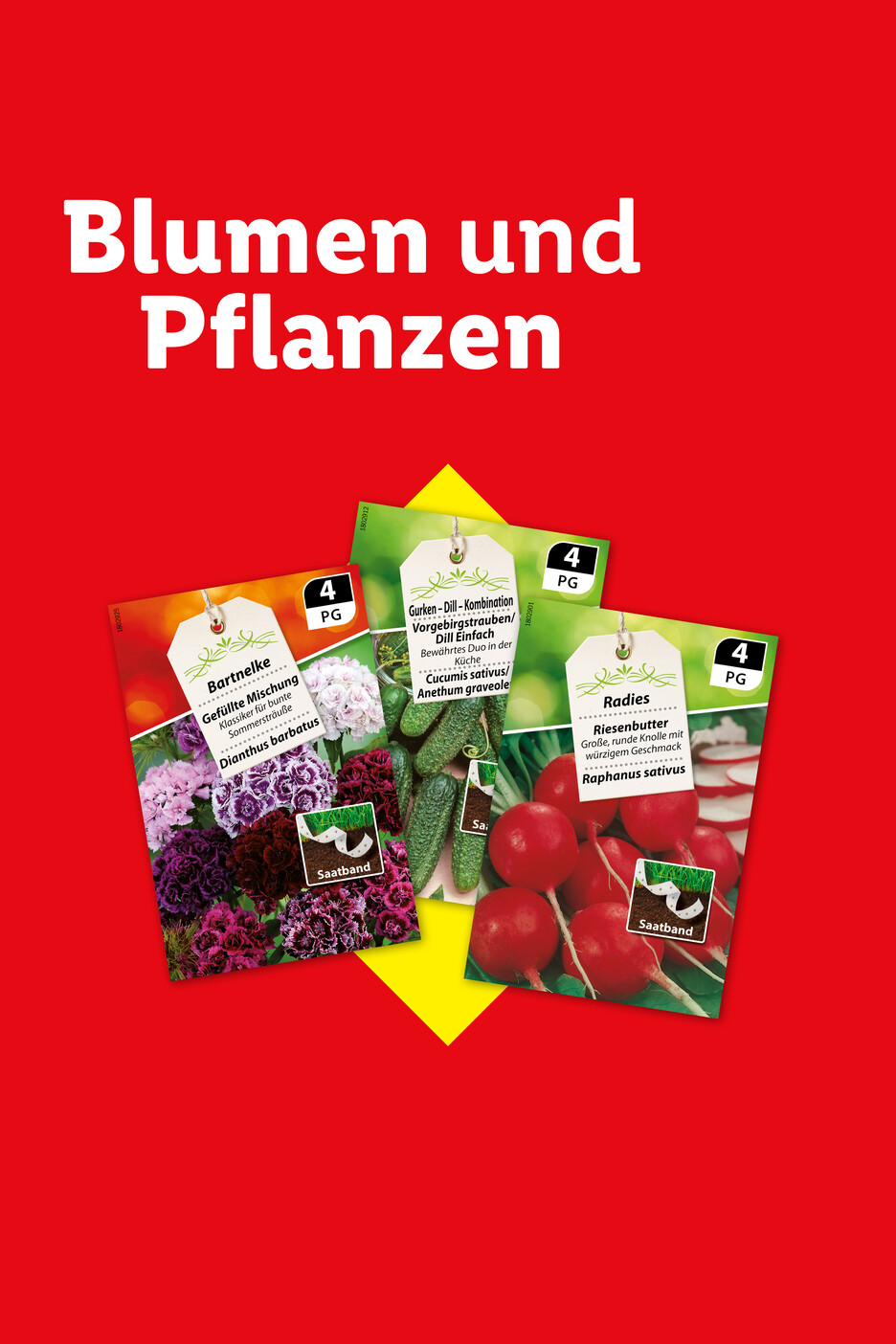 Blumen- und Pflanzen-Samenpakete, darunter Bartnelken, Gurken-Dill-Kombination und Radieschen.