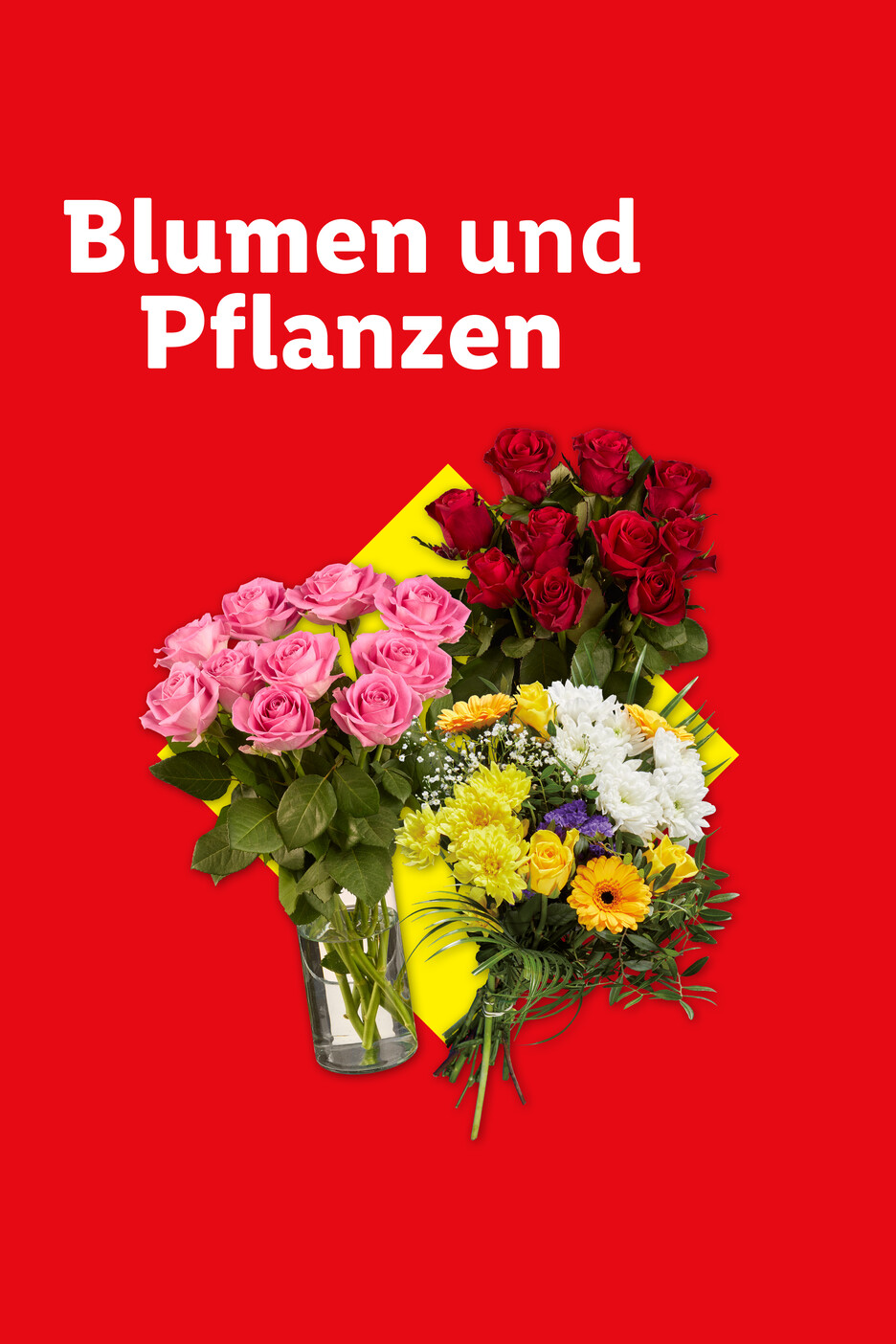 Blumen und Pflanzen: Sträuße aus roten und rosa Rosen sowie gemischte Blumen auf rotem Hintergrund.