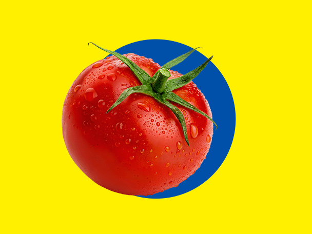 Eine frische rote Tomate mit Wassertropfen, auf gelbem Hintergrund mit blauem Kreis.