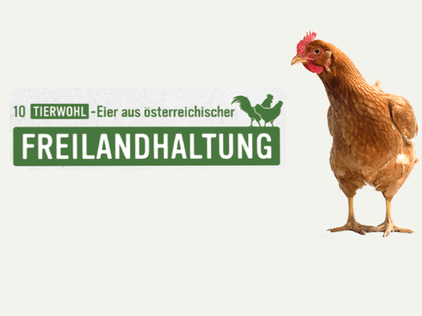 Aufzucht von Hahn & Henne: