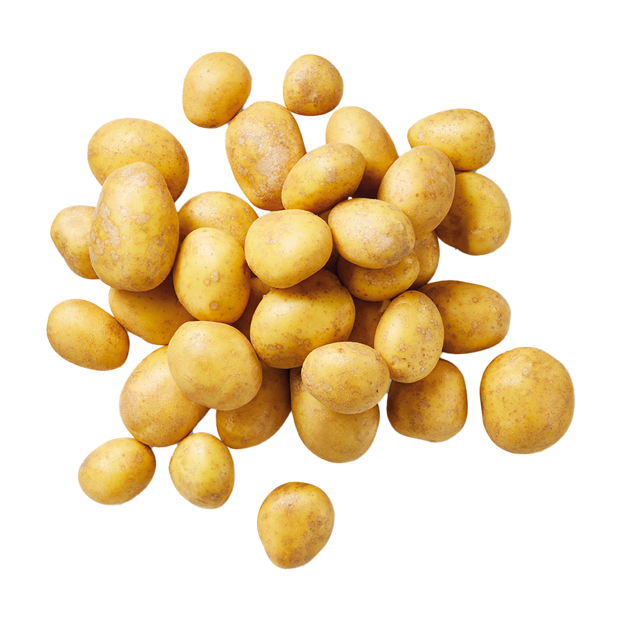 Eine Ansammlung von kleinen, gelben Kartoffeln.