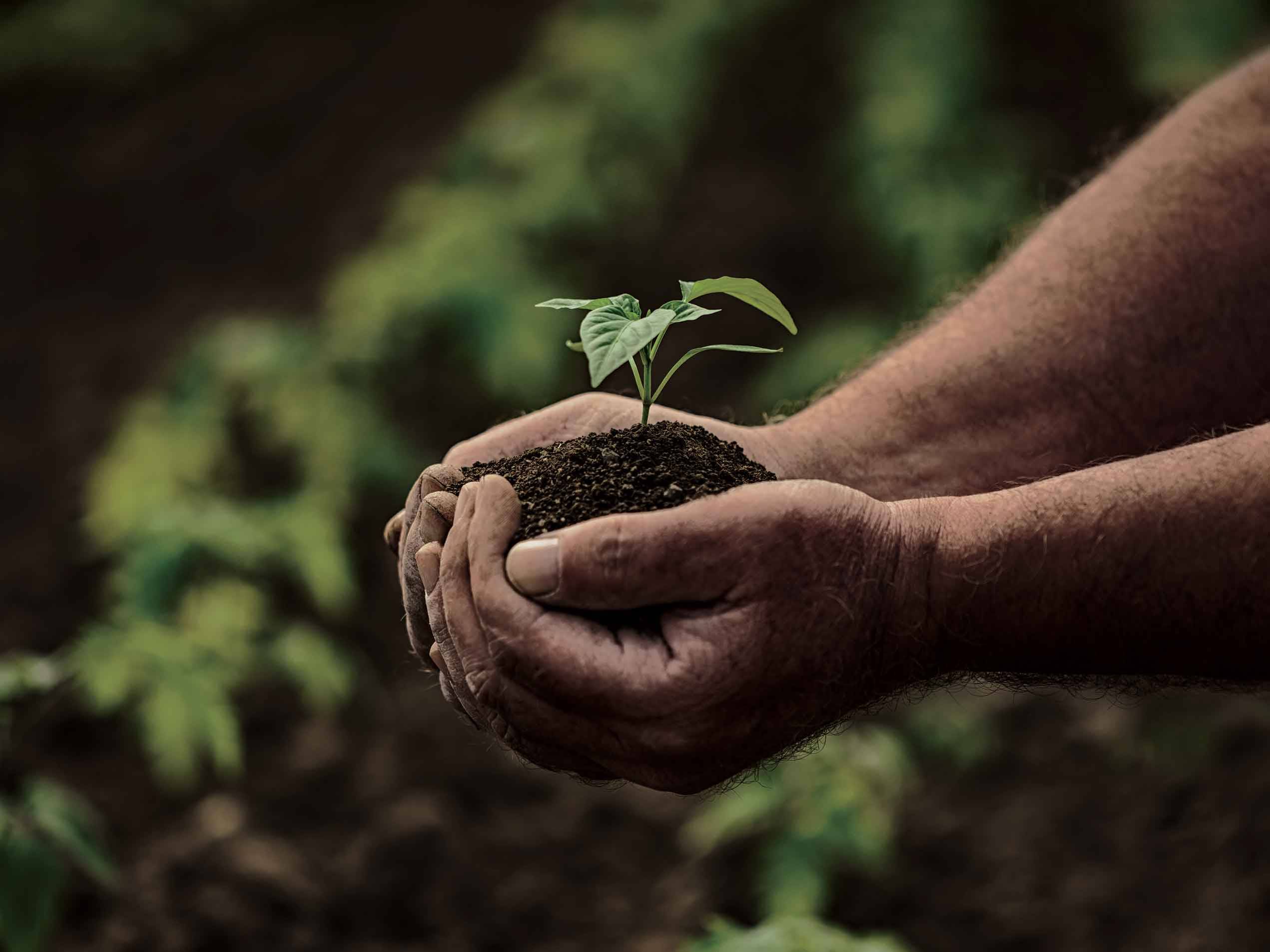 Wir achten auf Biodiversität