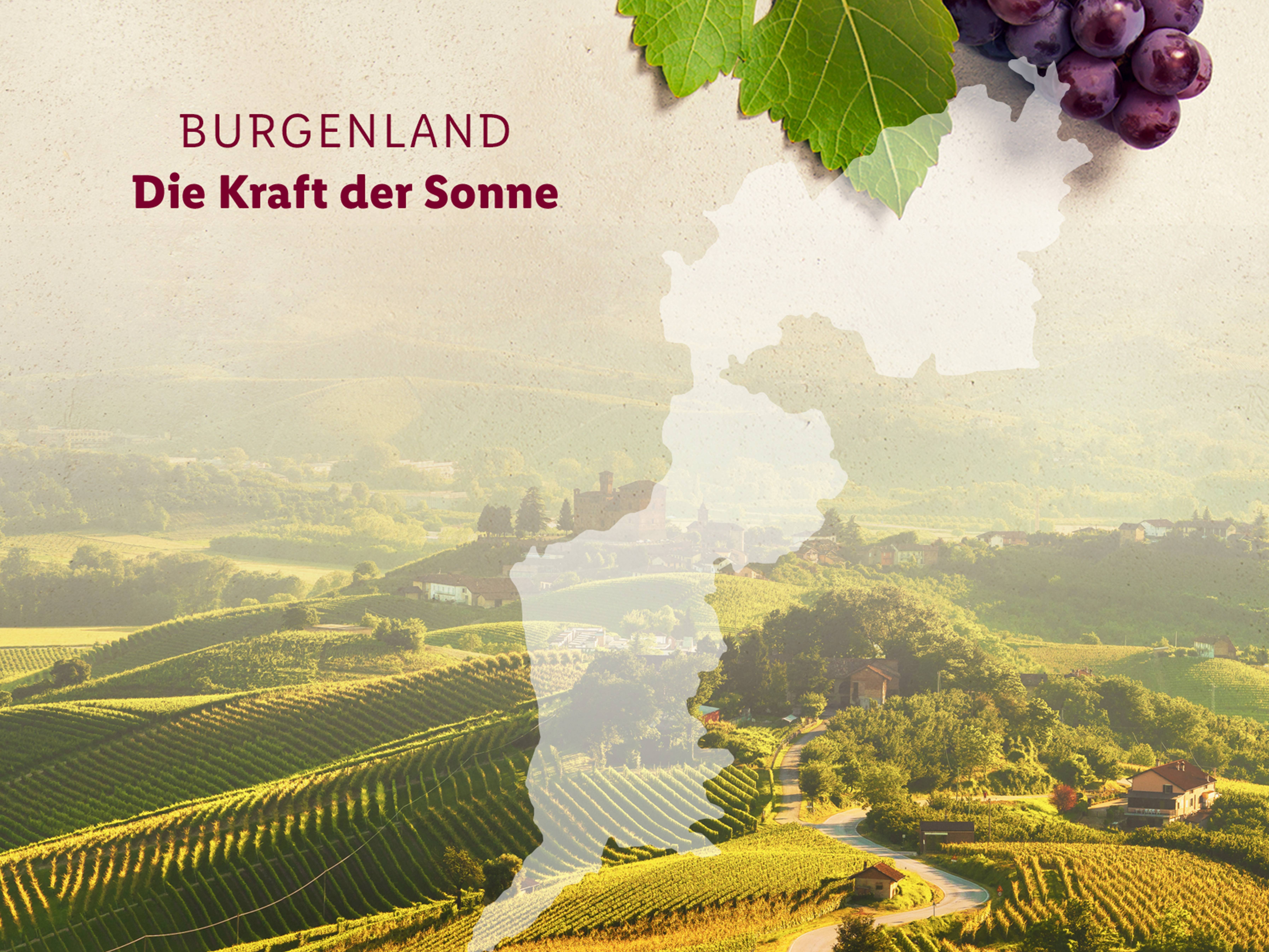 Wein aus dem Burgenland