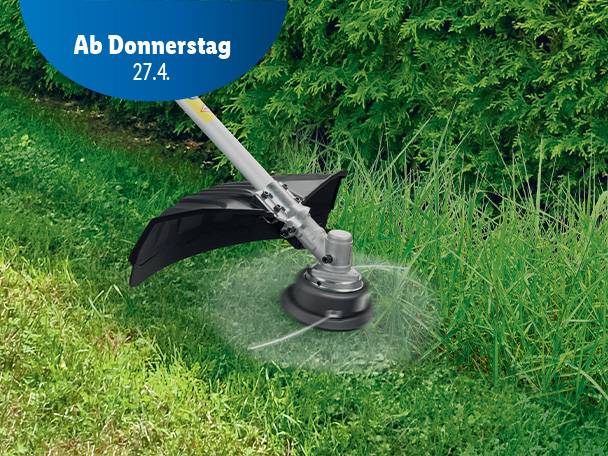 Bring dein Grün in Form.