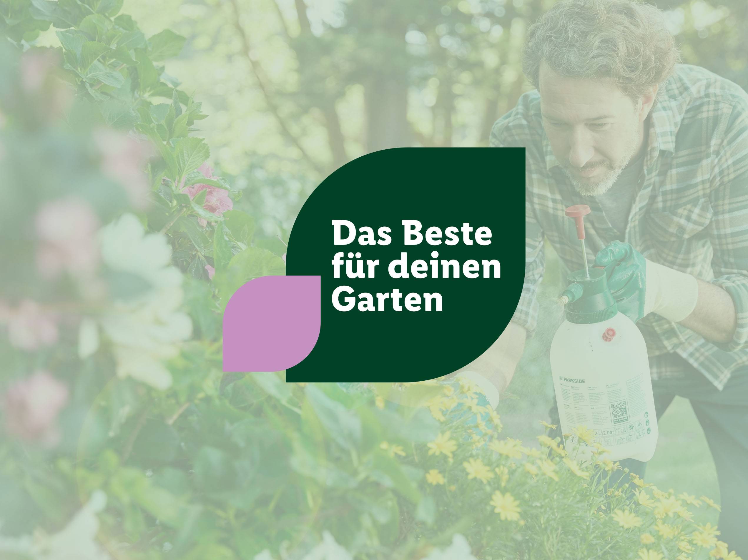 Ein Mann gießt seine Gartenpflanzen mit einer Parkside Sprühflasche.