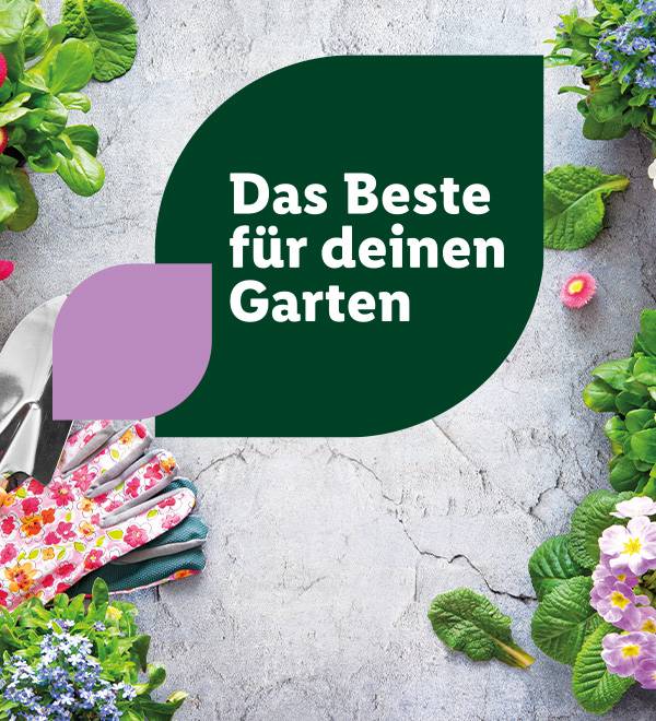 Rein in den Garten