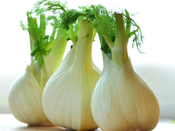 Drei frische Fenchelknollen mit grünen Wedeln auf einem hellen Hintergrund.