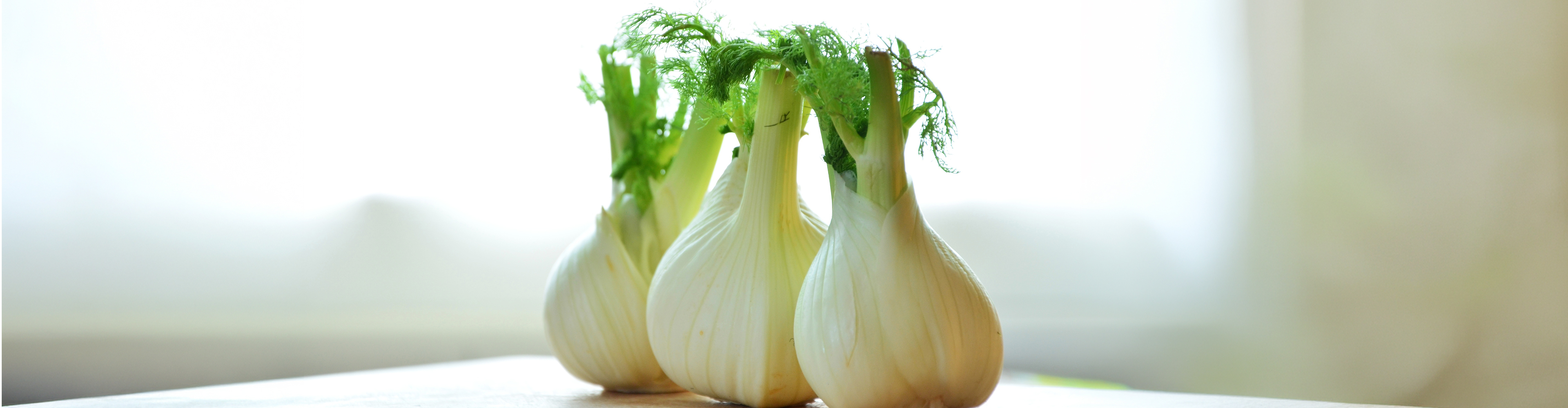 Vier frische Fenchelknollen mit grünen Wedeln auf einem Holztisch vor hellem Hintergrund.