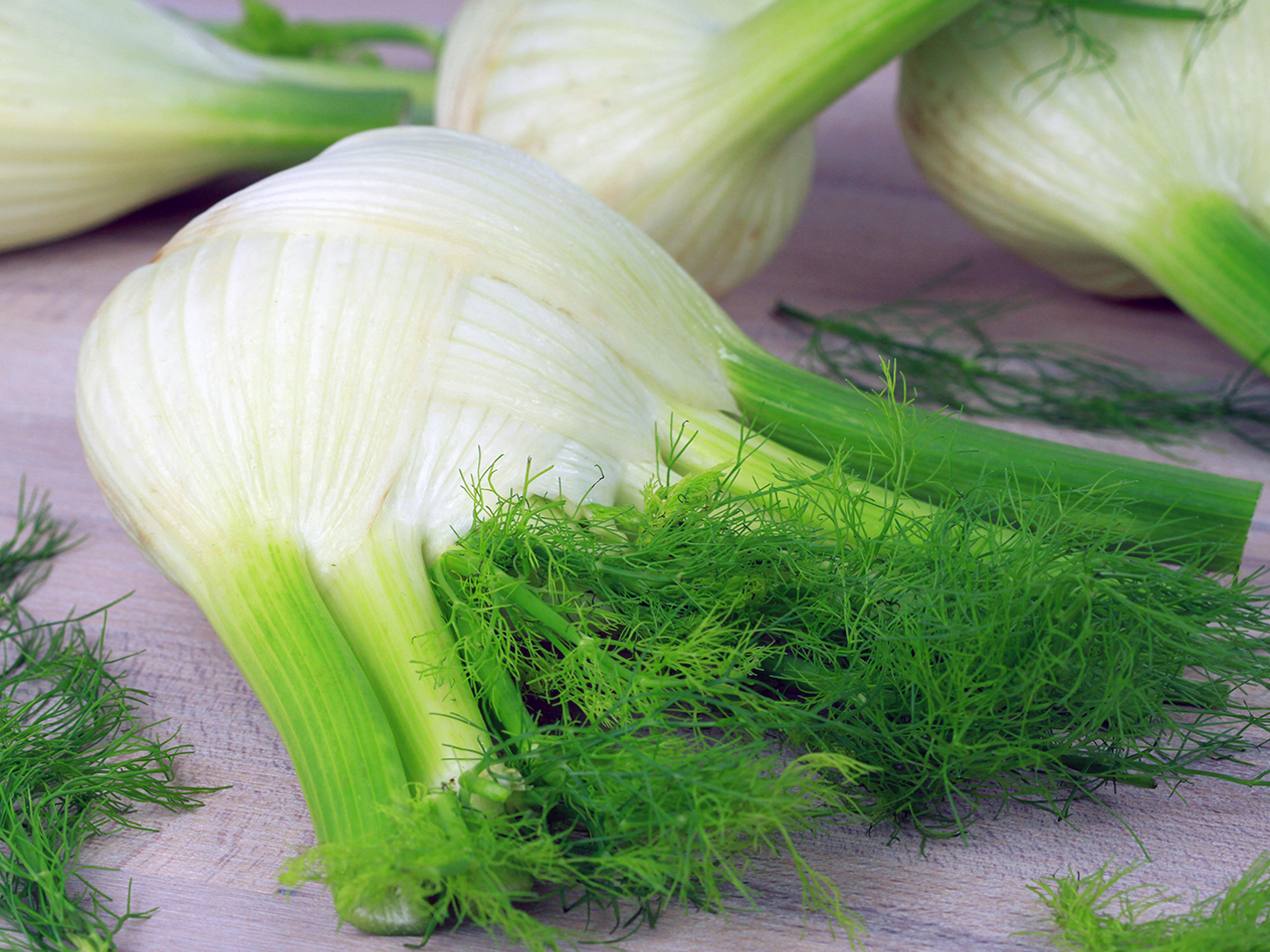 Frischer Fenchel mit grünen Stielen und feinen Blättern auf einem Holztisch.