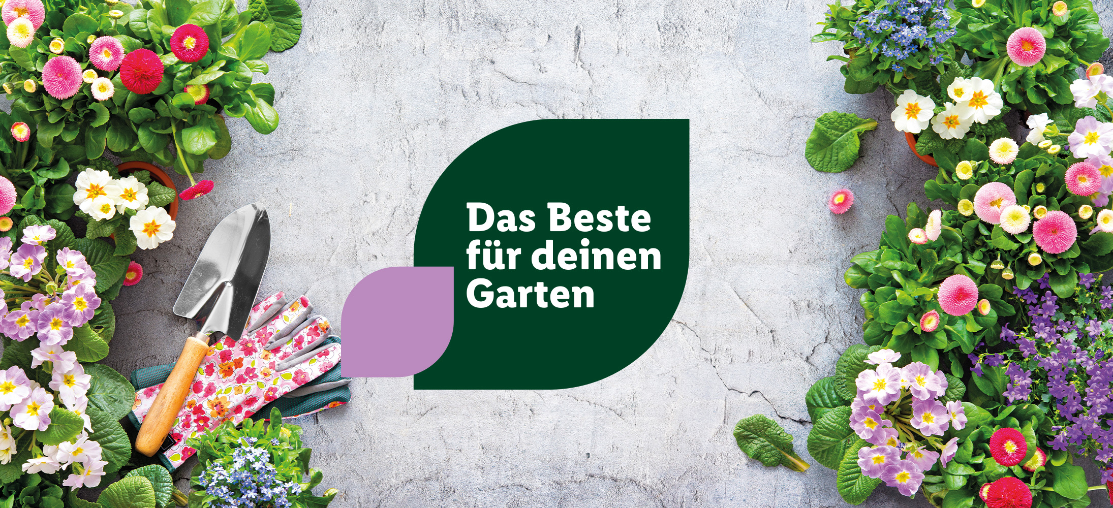 Das Beste für deinen Garten