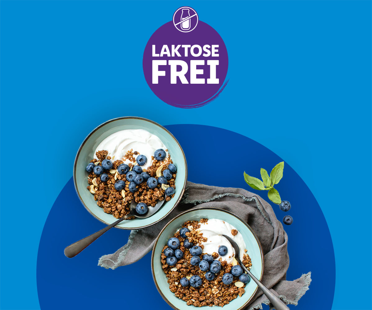 Zwei Schüsseln mit laktosefreiem Joghurt, Granola und Blaubeeren.
