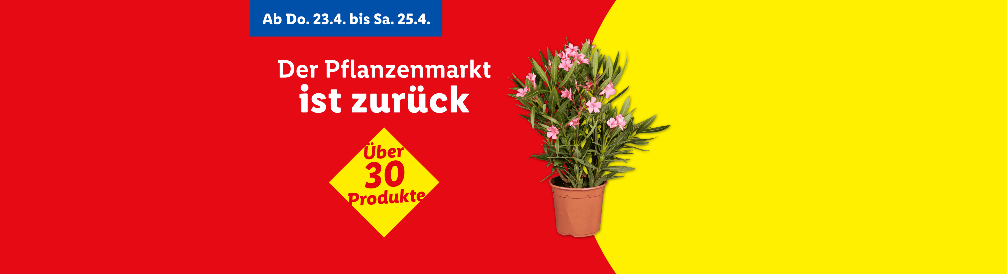 Pflanzenmarkt-Werbung mit Oleanderpflanze, Text 'Der Pflanzenmarkt ist zurück' und 'Über 30 Produkte'.