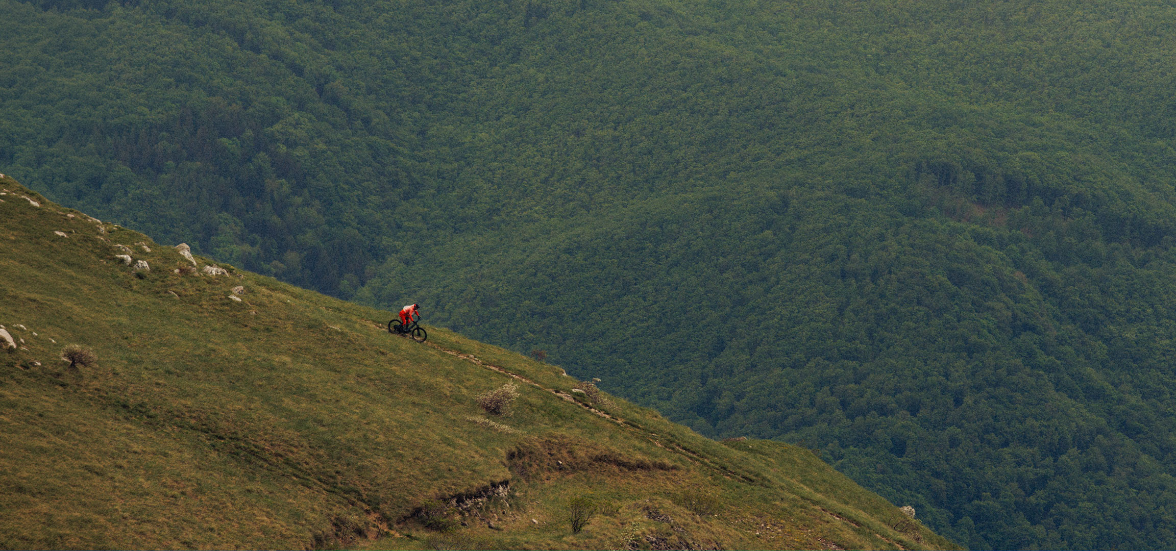 KI-generiert: Mountainbiker in Rot fährt einen grasbewachsenen Hügel hinunter mit dichtem Wald im Hintergrund.