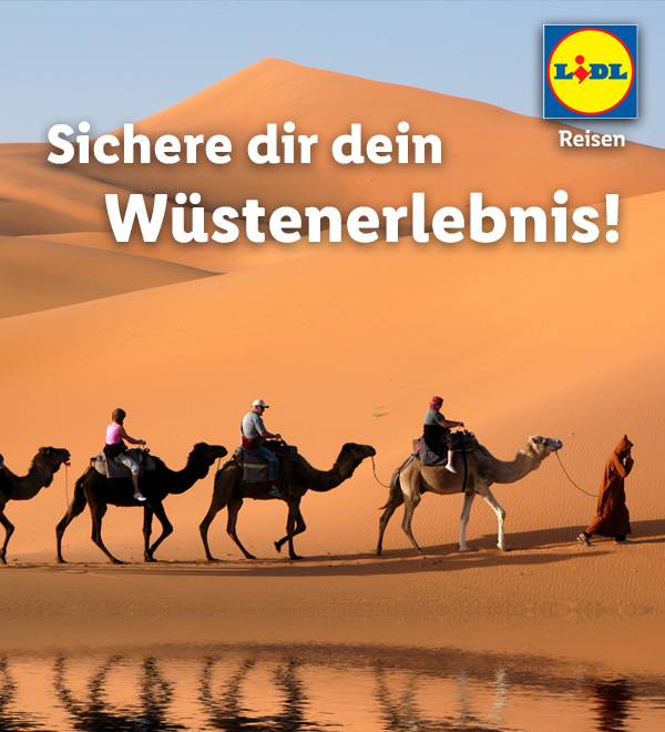 Lidl Reisen: Kamelritt in der Wüste.