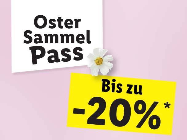 Spare bis zu 20%