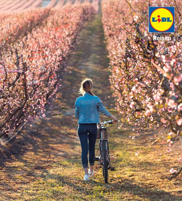 Eine Frau geht mit ihrem Fahrrad durch einen blühenden Obstgarten. Lidl Reisen.