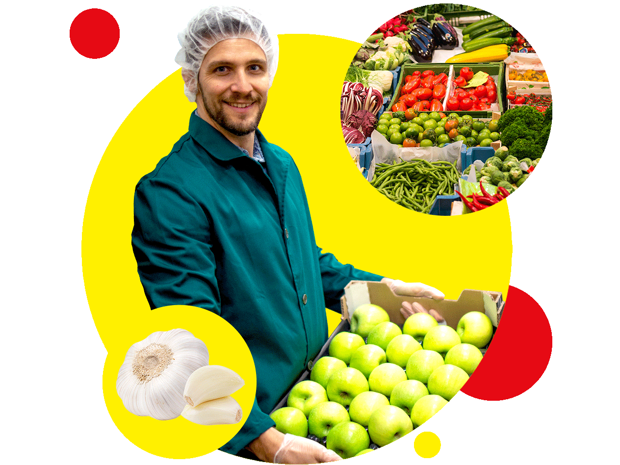 Ein Mitarbeiter in einem grünen Kittel sortiert Äpfel und Knoblauch in einem Lebensmittelgeschäft.