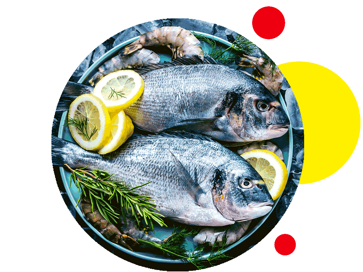 Zwei frische Fische mit Zitrone, Rosmarin und Garnelen auf Eis in einer Schale.