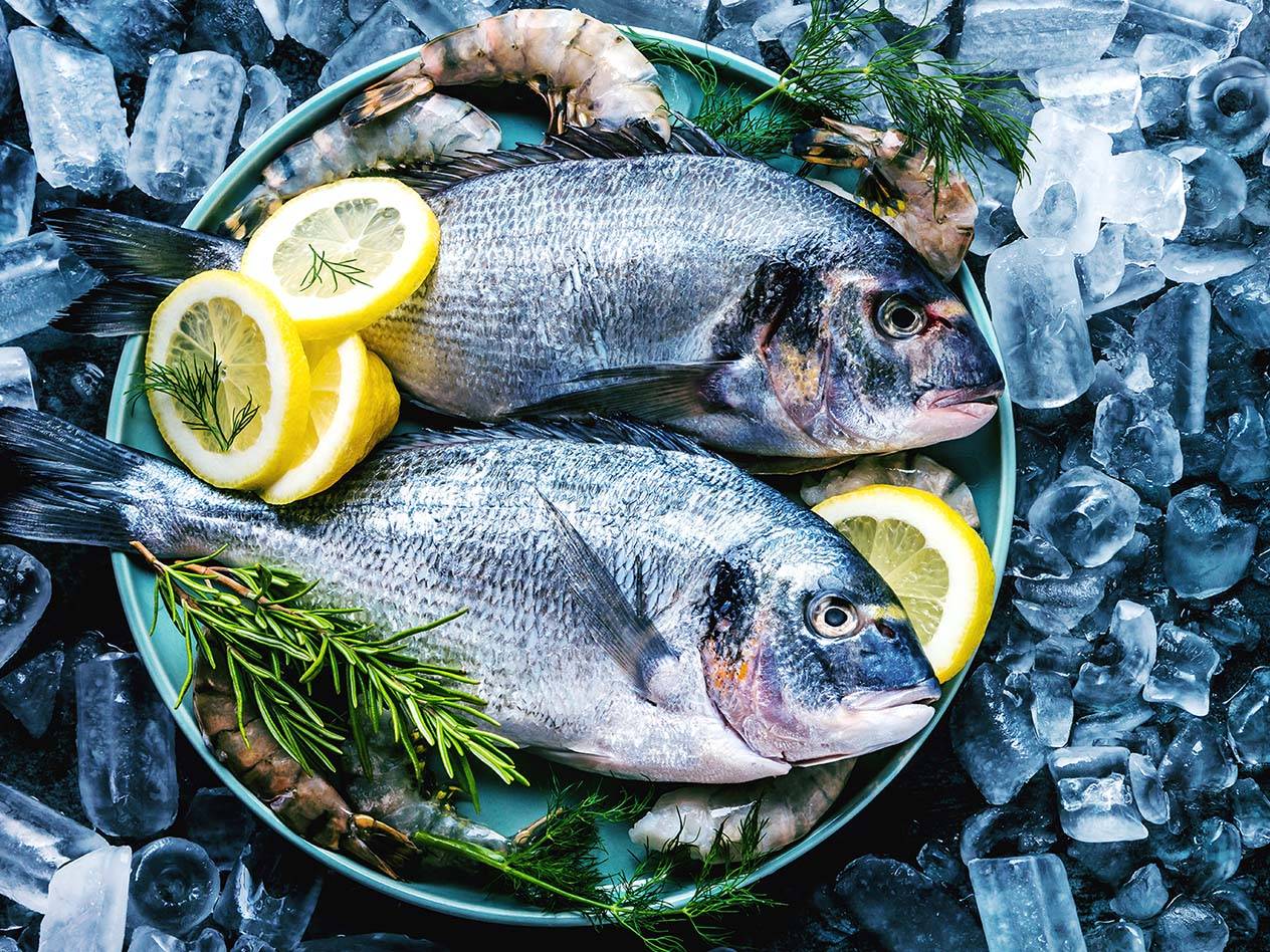 Zwei frische Fische mit Zitronen und Kräutern auf Eis.