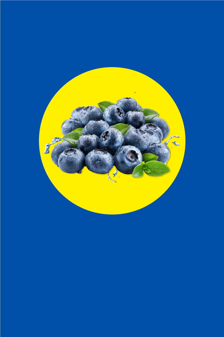 Frische Heidelbeeren mit Wassertropfen auf gelbem Kreis vor blauem Hintergrund