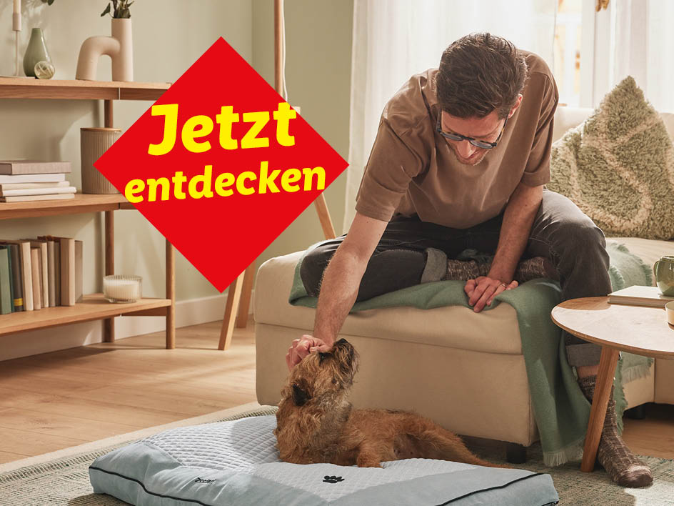 Mann streichelt seinen Hund auf einem beigen Hundebett.  Jetzt entdecken!