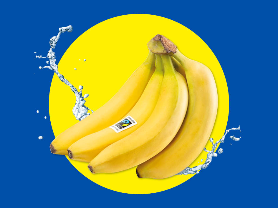 Eine Bananenstaude mit Wasserspritzern vor einem gelben Kreis auf blauem Hintergrund.