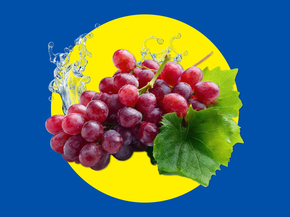 Rote Trauben mit Blättern und Wasserspritzern auf gelbem Kreis vor blauem Hintergrund.