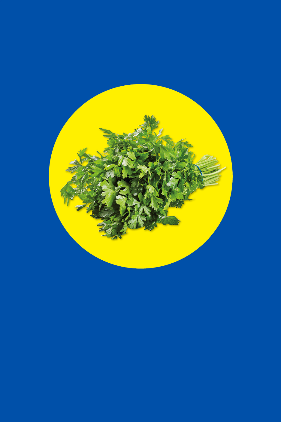 Ein Bund frischer Petersilie auf einem gelben Kreis vor blauem Hintergrund.