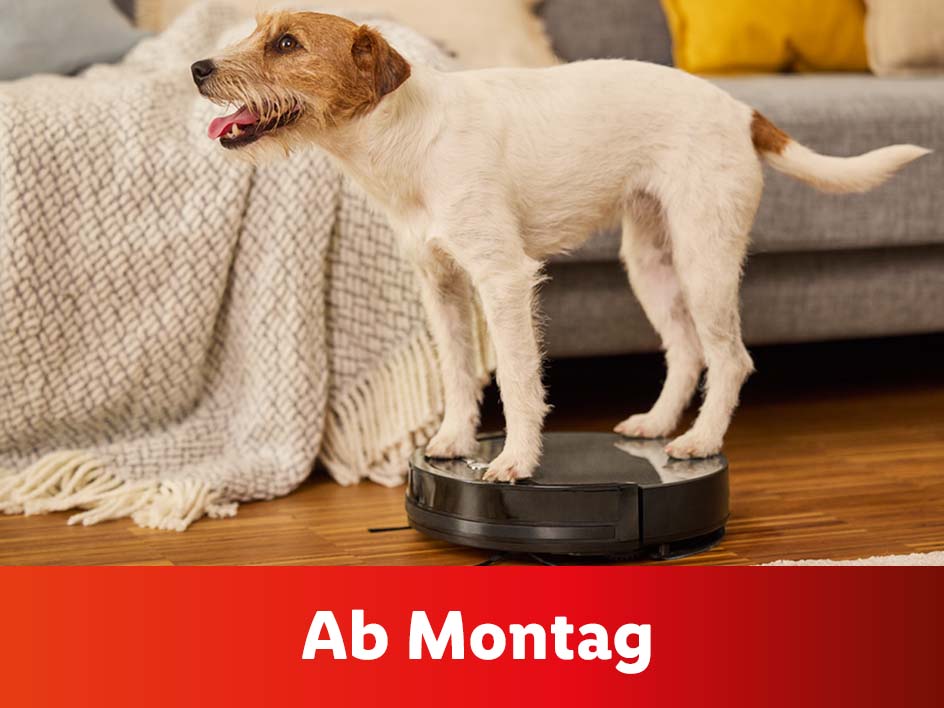 Hygiene für dein Zuhause