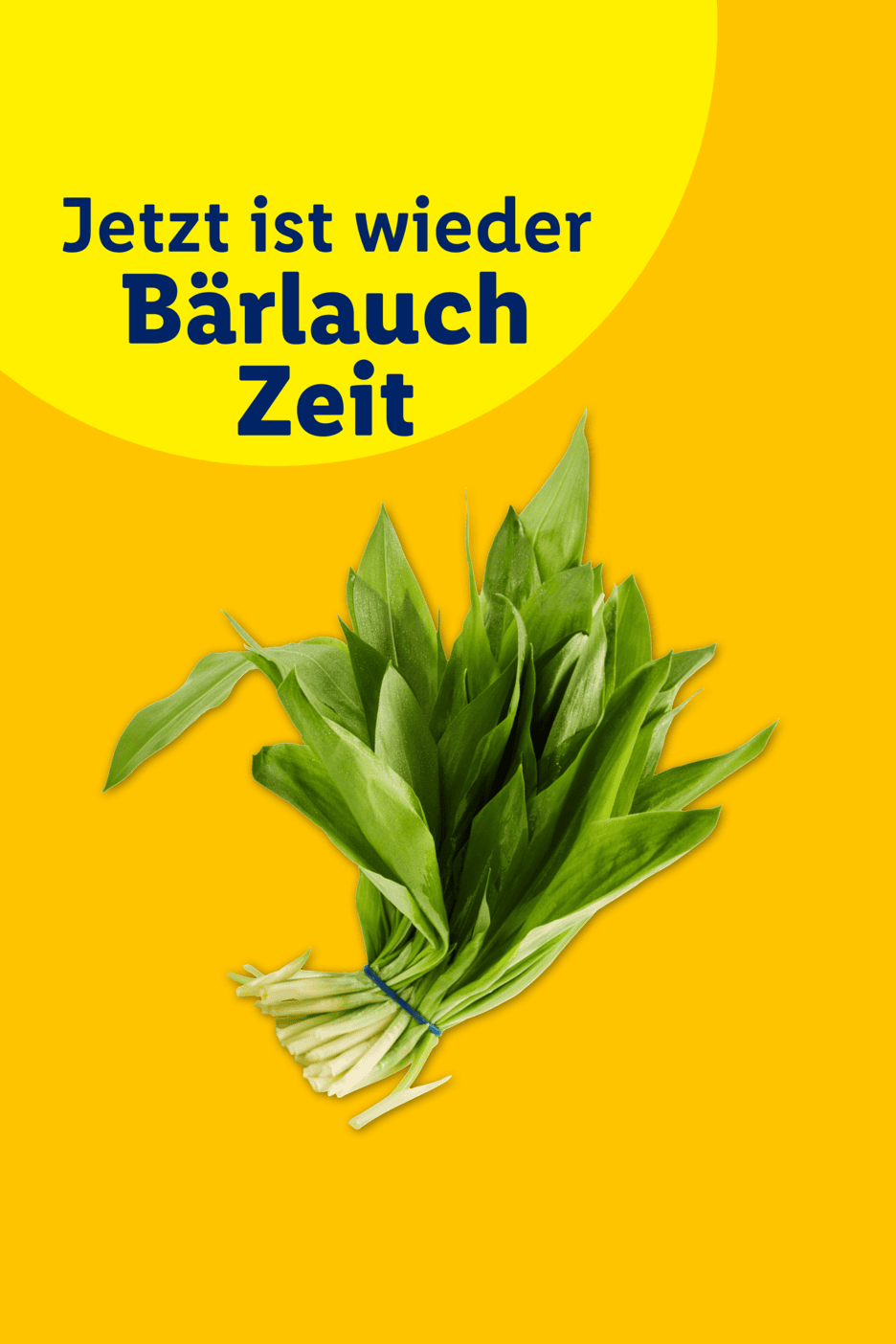 Bärlauchstrauß auf gelbem Hintergrund mit dem Text 'Jetzt ist wieder Bärlauch Zeit'.