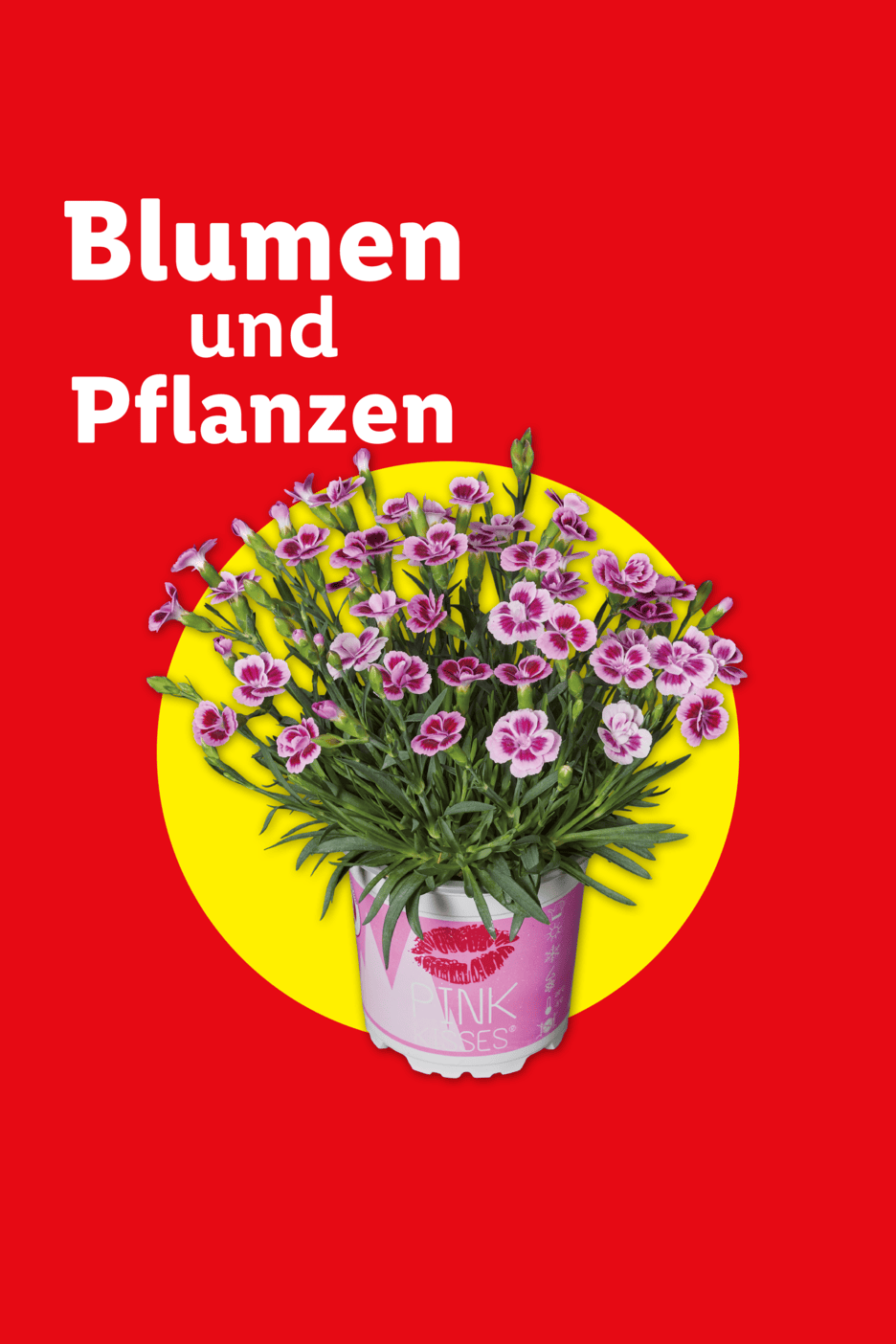 Rote Anzeige mit weißem Text 'Blumen und Pflanzen' und einem Topf mit rosa Nelken auf gelbem Kreis.
