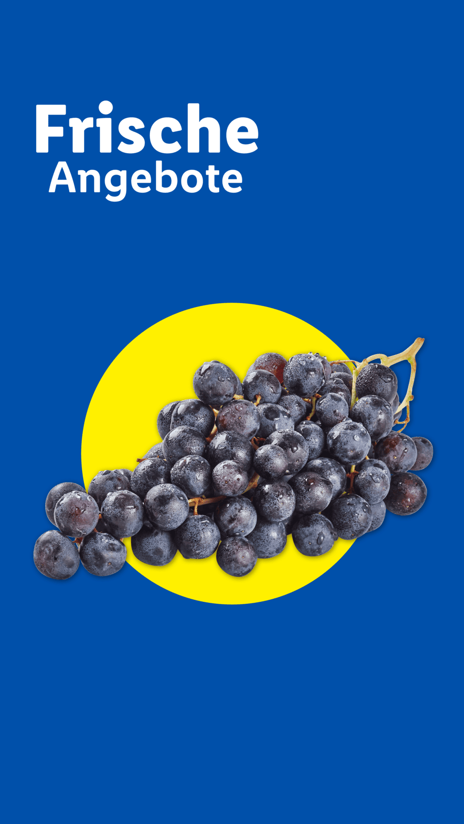 Frische Angebote: Dunkle Weintrauben mit Wassertropfen auf gelbem Kreis vor blauem Hintergrund.