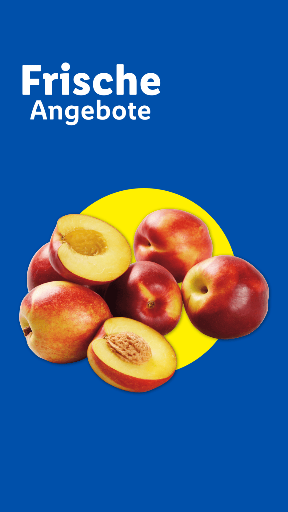 Frische Angebote: Nektarinen auf blauem Hintergrund mit gelbem Kreis.