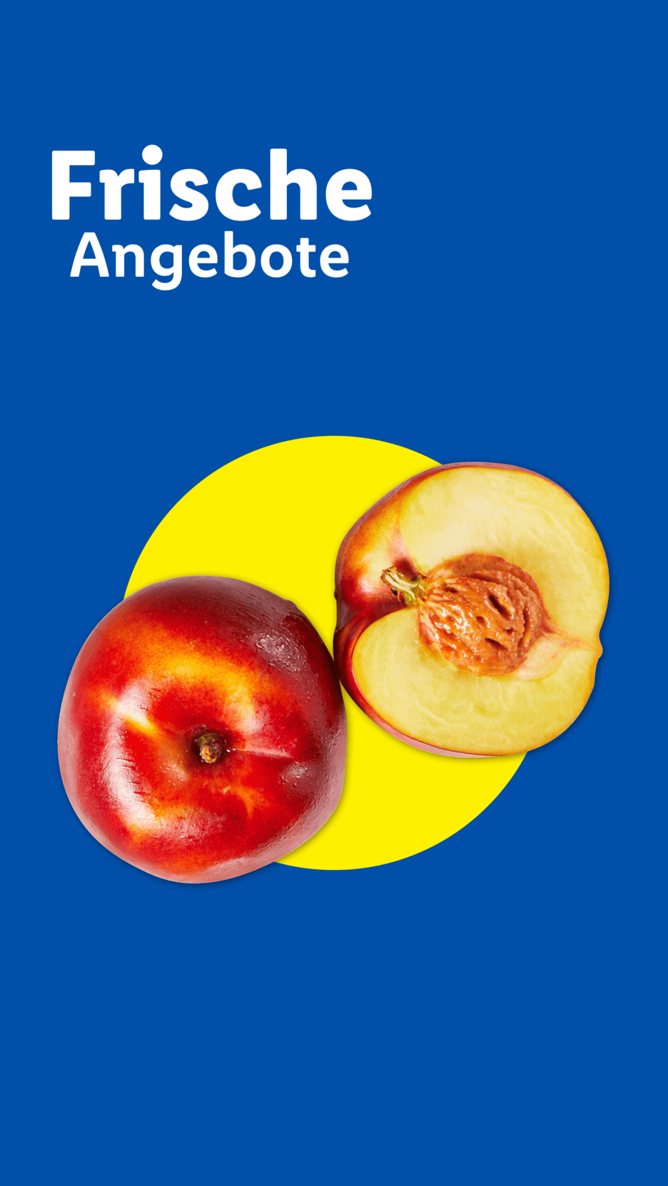 Frische Angebote: Nektarinen auf blauem Hintergrund mit gelbem Kreis.