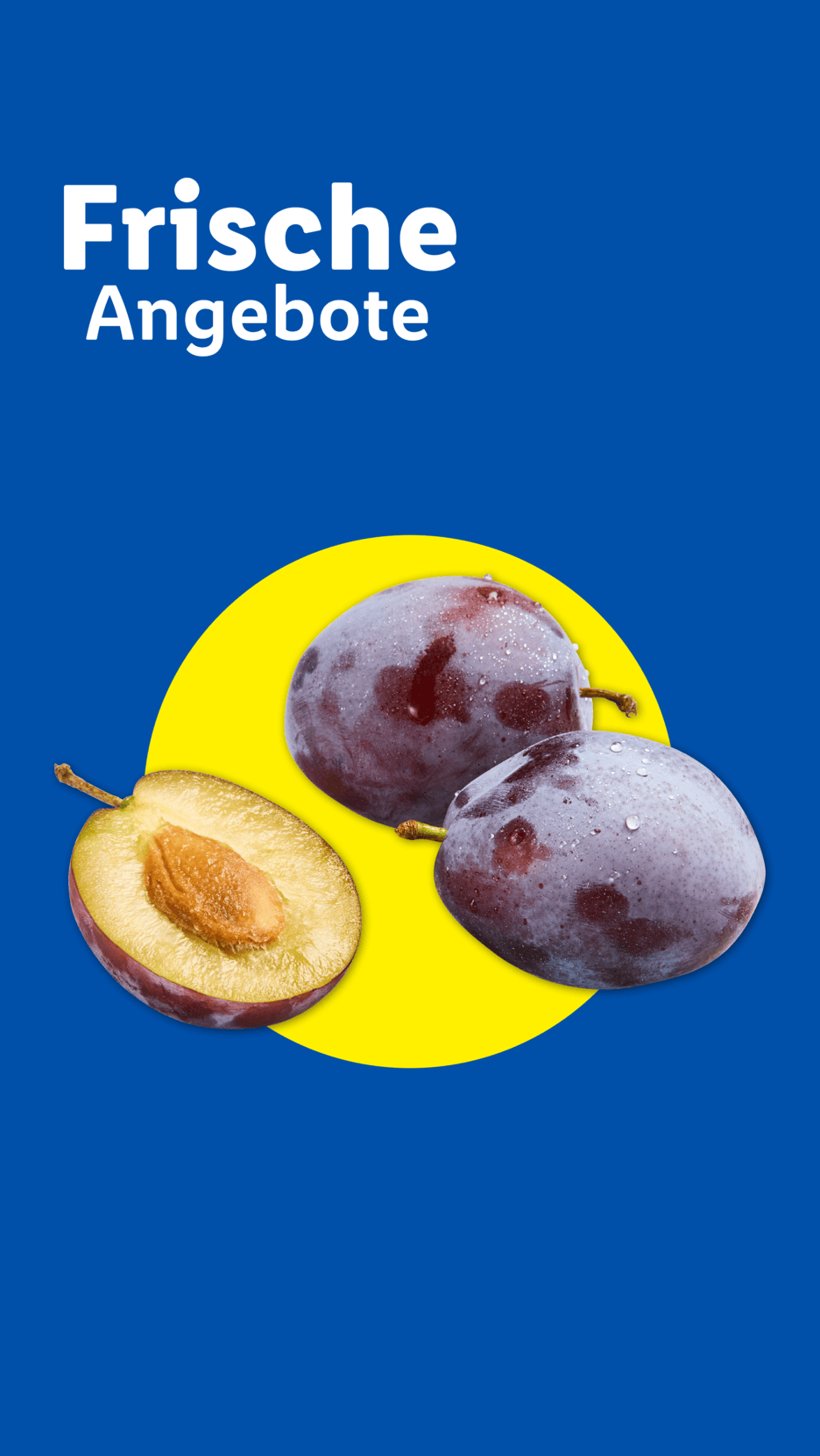 Frische Angebote: Pflaumen auf gelbem Kreis vor blauem Hintergrund.