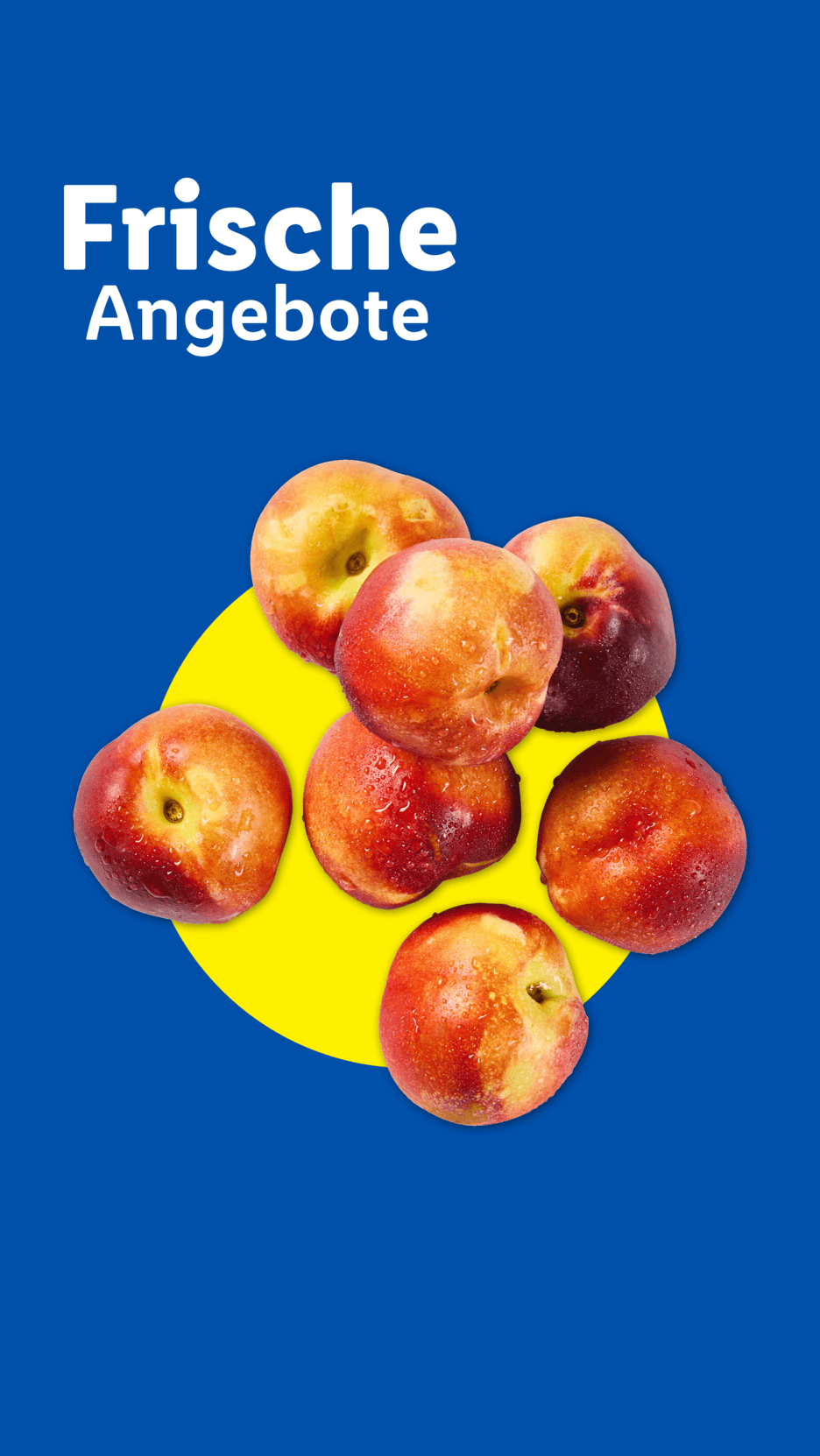 Frische Nektarinen auf blauem Hintergrund mit gelbem Kreis, Text: Frische Angebote.