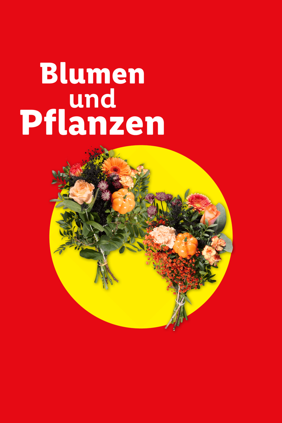 Roter Hintergrund mit der Aufschrift 'Blumen und Pflanzen' über einem gelben Kreis, in dem zwei herbstliche Blumensträuße mit kleinen Zierkürbissen abgebildet sind.