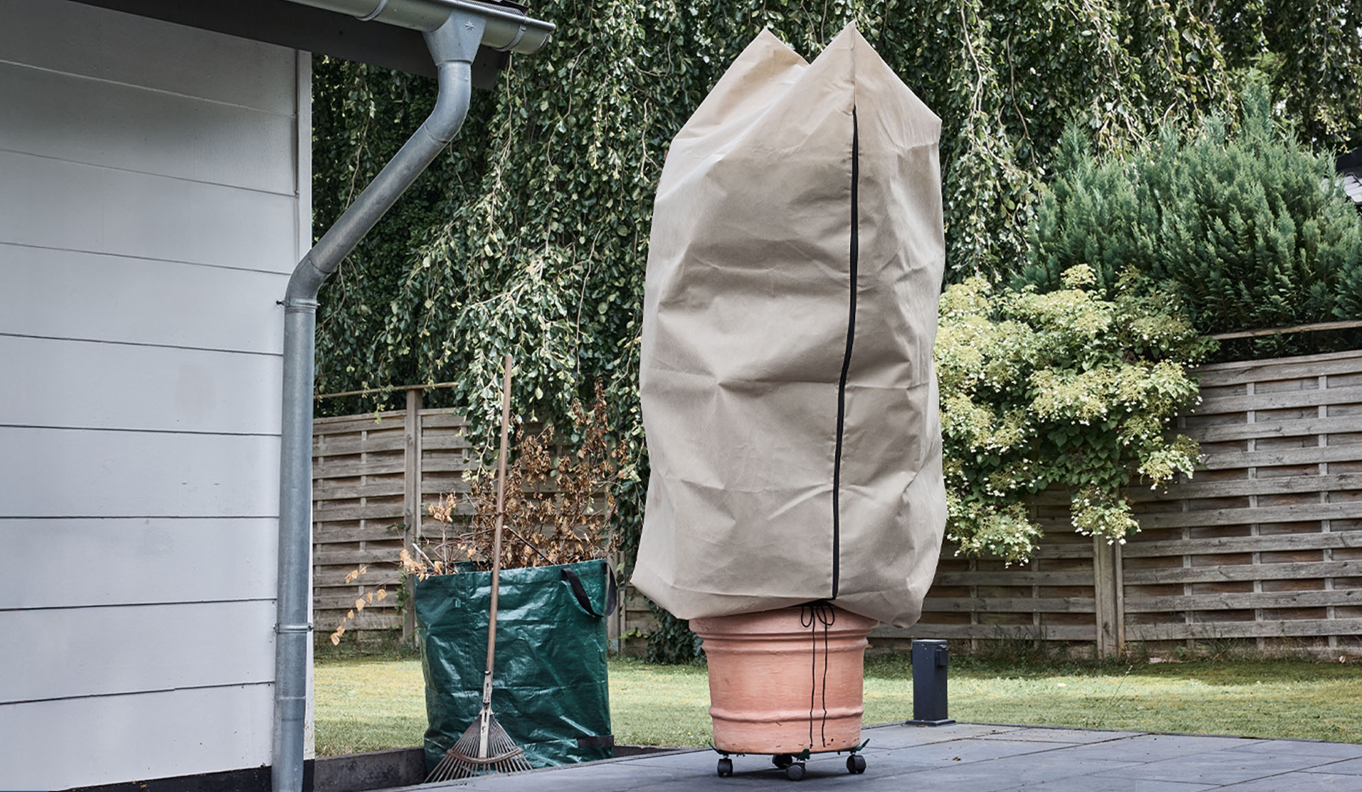 Pflanzenabdeckung auf einer Topfpflanze auf einer Terrasse mit Regenrinne und Rechen.