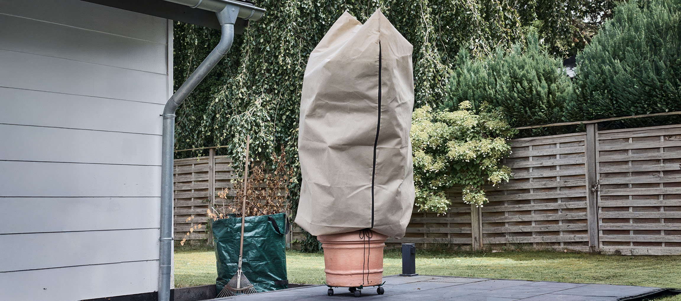 Topfpflanze mit Winterschutzhülle auf einer Terrasse neben einem Haus.