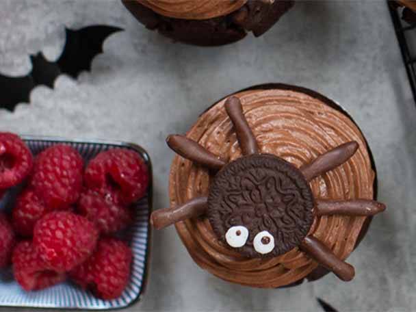 Schokoladen-Cupcake mit Spinnen-Dekoration und frischen Himbeeren