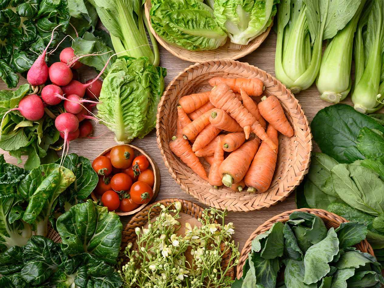Eine Auswahl an frischem Gemüse, darunter Radieschen, Karotten, Salat und Tomaten.