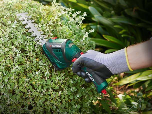 Schnitt für Schnitt- die Hecke in Form bringen