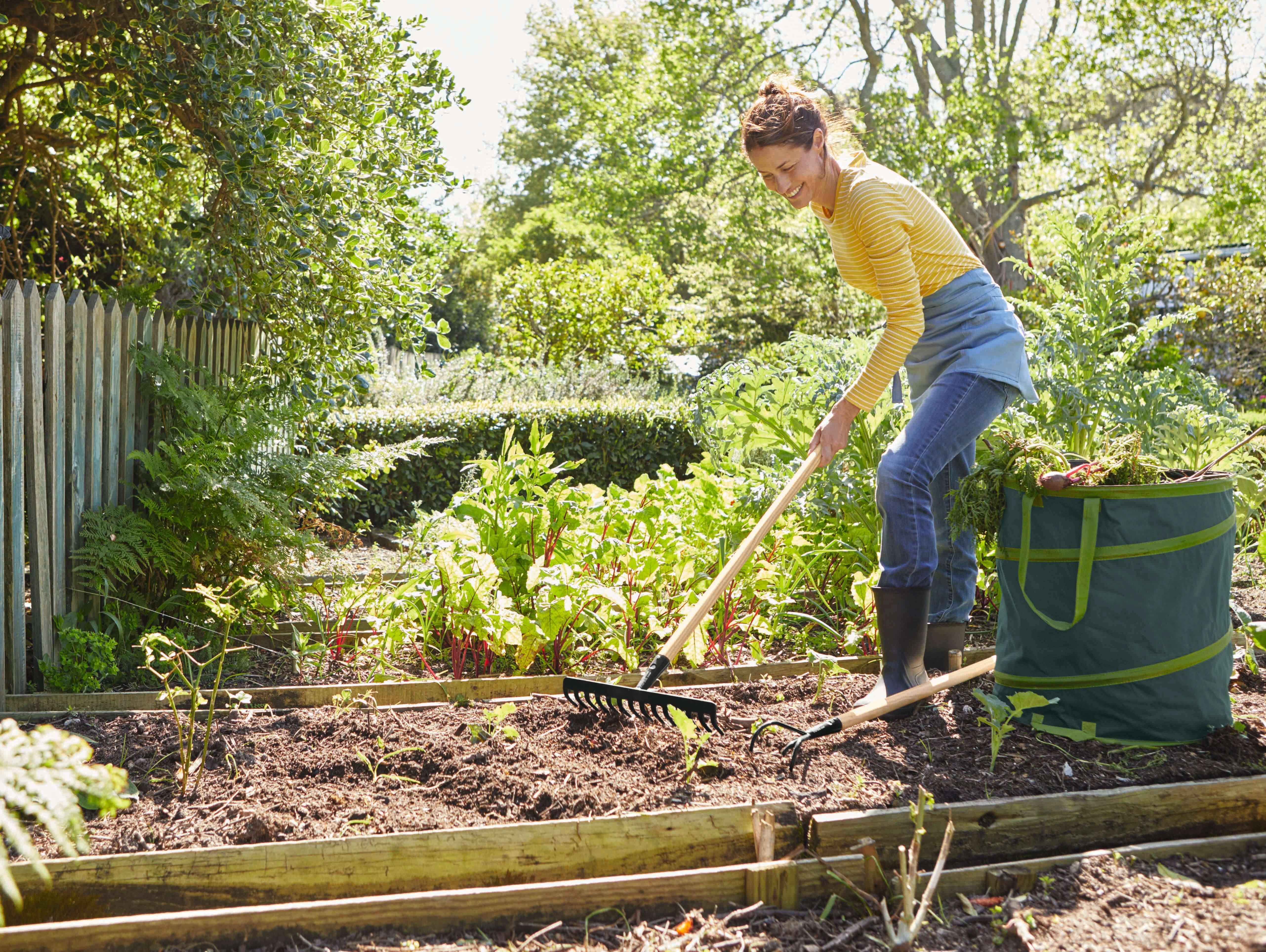 Kräutergarten anlegen: So geht's