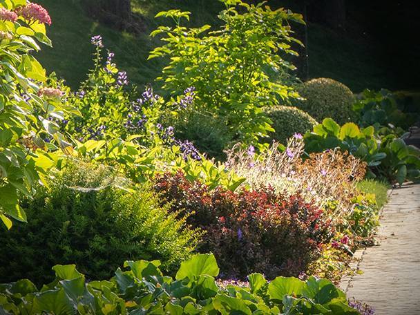 Natürlichkeit im Gartenbild mit Gräser & Stauden