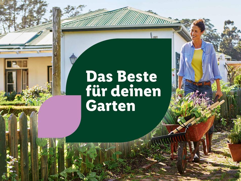 Lidl Österreich Lidl.at